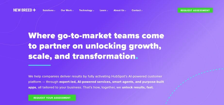 HubSpot Agencies - new breed