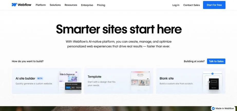 CMS Software - webflow