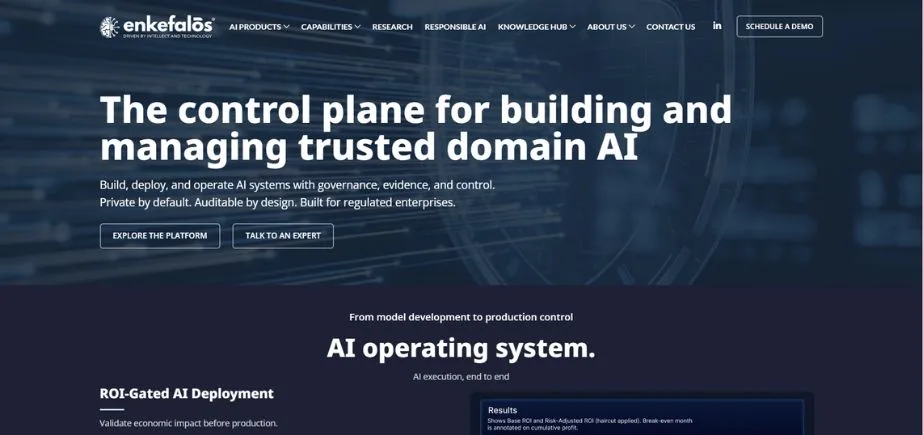 software companies in Mysore - enkefalos