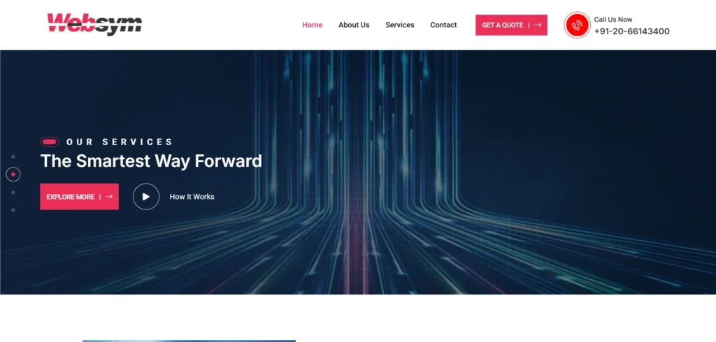 Software Company In Nashik - Websym Solutions