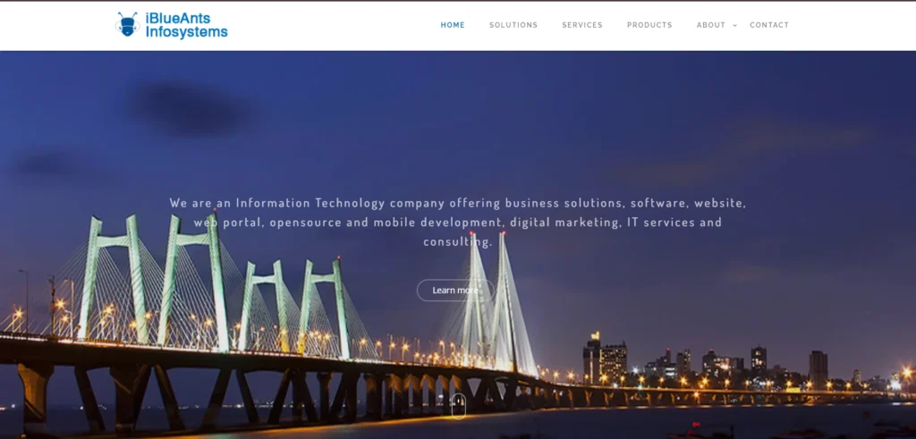 Software Company in Thane -  iBlueAnts Infosystems Pvt. Ltd 