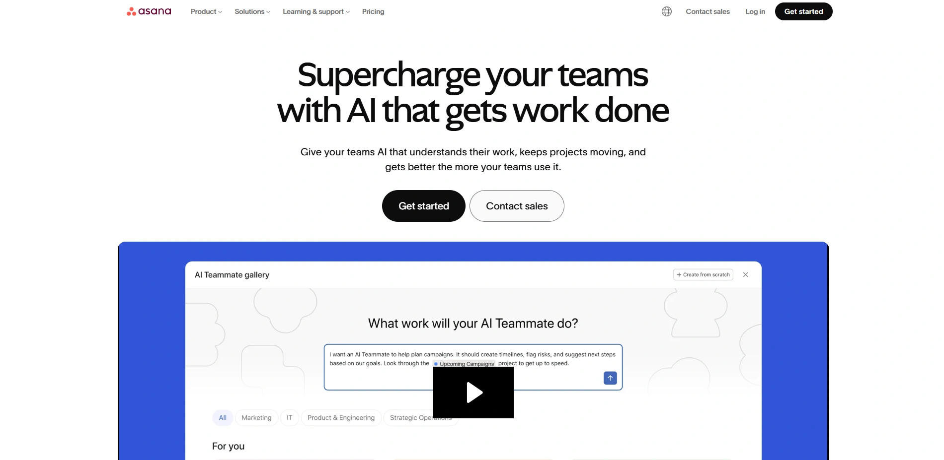 Marketing Project Management Software -Asana